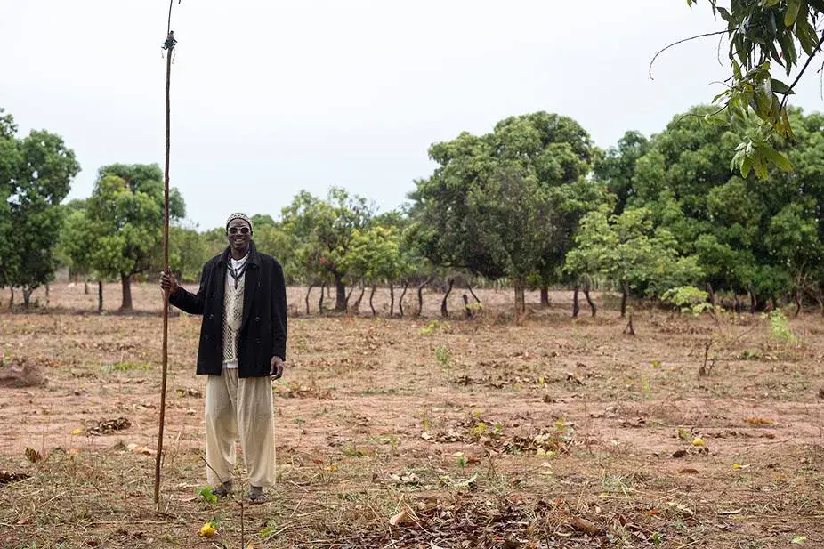 Un producteur debout dans un champ arboré, un long bâton à la main.