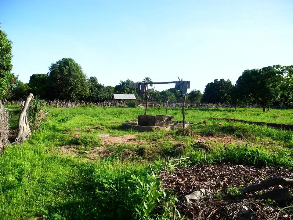 Puits équipé d’un système de pompage au centre d’un jardin verdoyant de l’Ecolieu de Darou Salam