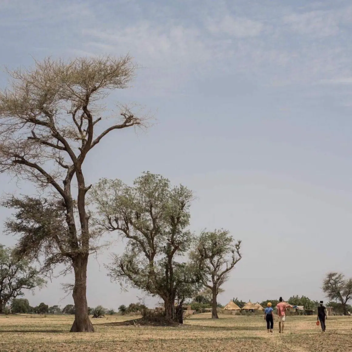 Des arbres et quelques personnes dans la savane, près de Kamyaak.