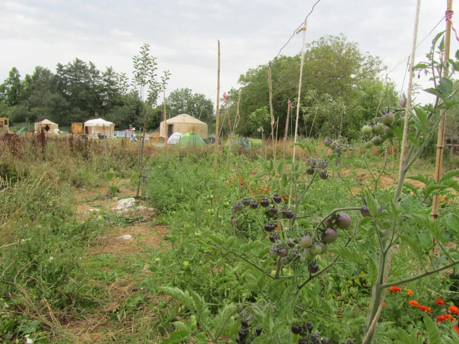 Le jardin potager et les yourtes de l’écolieu sous un ciel dégagé.