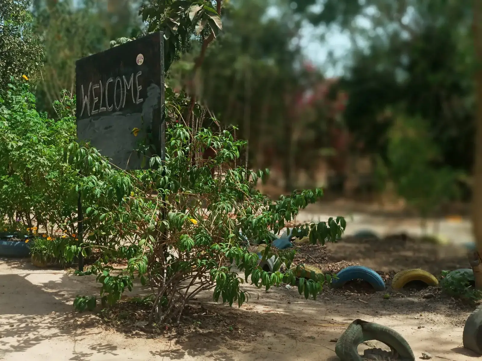 Panneau « Welcome » à l’entrée d’un jardin, entouré de plantes et de pneus recyclés