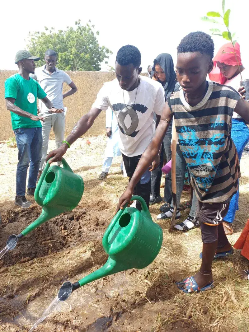 Jeunes arrosant des plants avec des arrosoirs verts dans un jardin scolaire