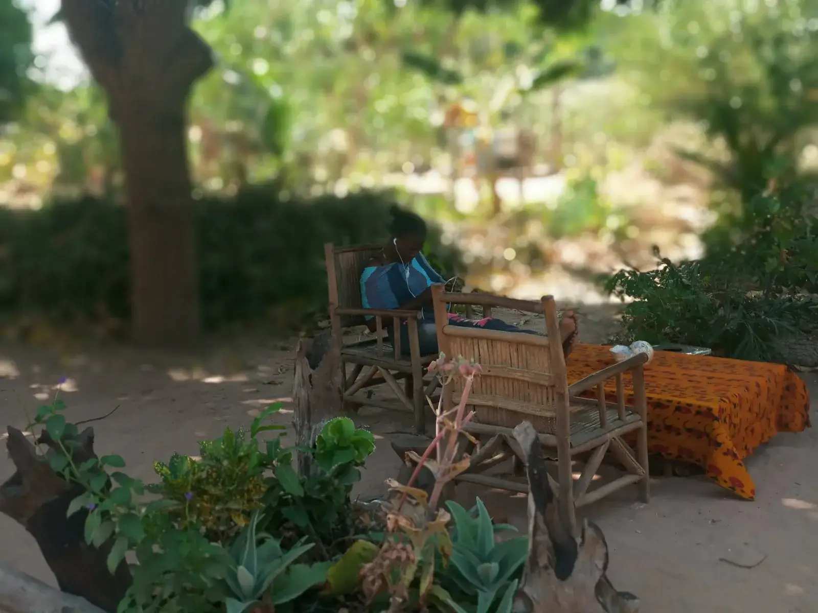 Espace de vie extérieur de Darou Salam, sous les arbres.
