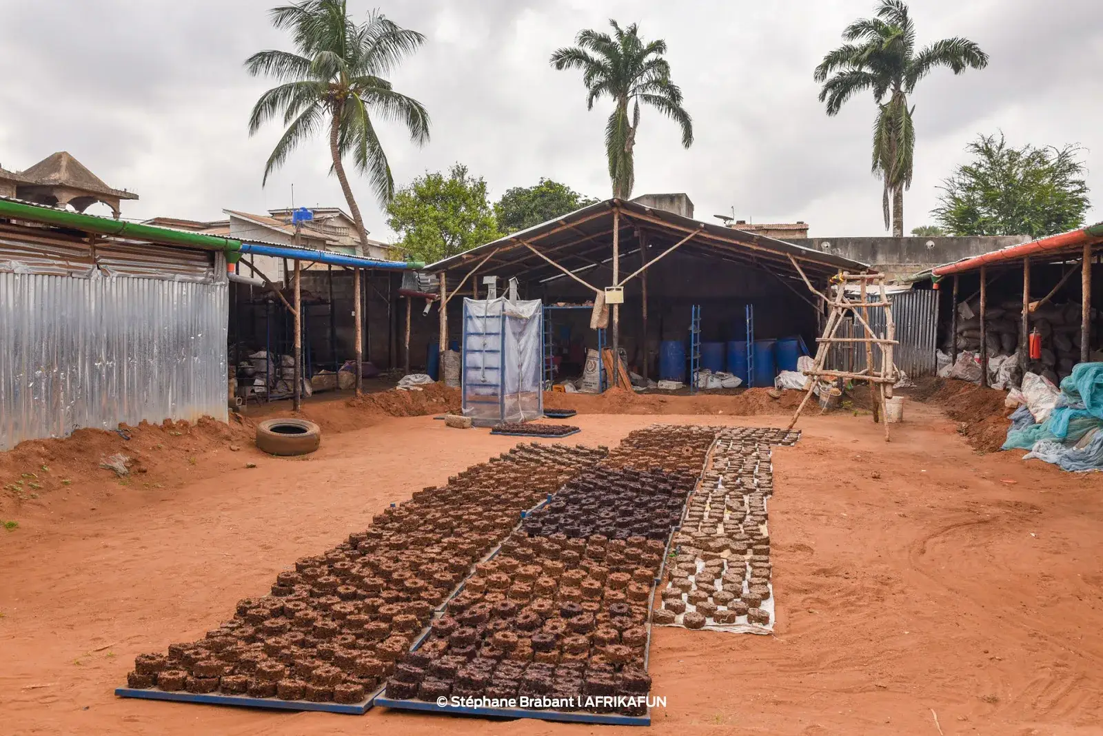 Briquettes de charbon séchant sur des claies dans la cour de production