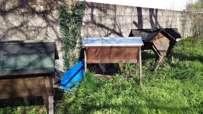 Des poulaillers en bois et un abri recouvert d’une bâche bleue.