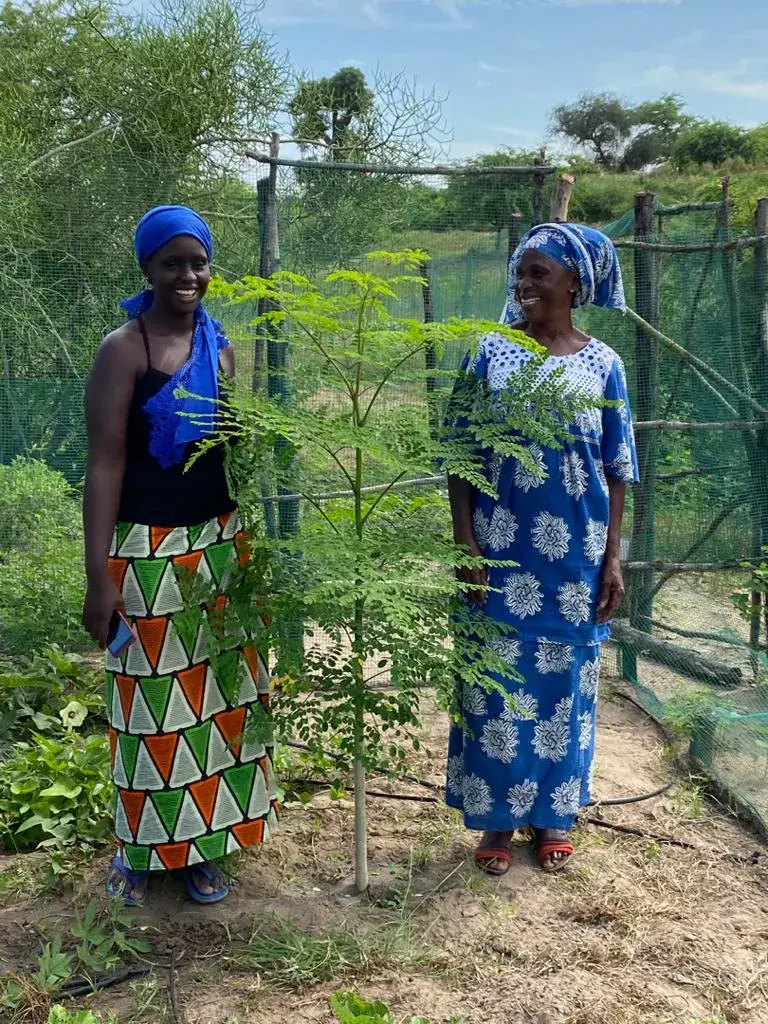 Deux femmes dans une parcelle de forêt nourricière.