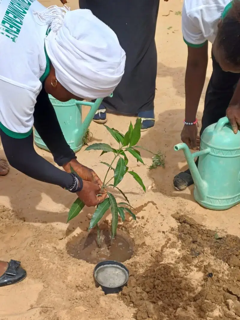 Une élève plante un jeune arbre dans un sol sableux, arrosoir à proximité