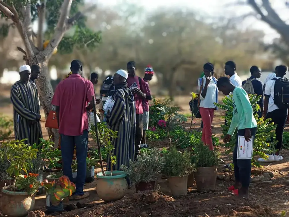 Un groupe échange autour de plants en pot lors d’une rencontre consacrée à la permaculture