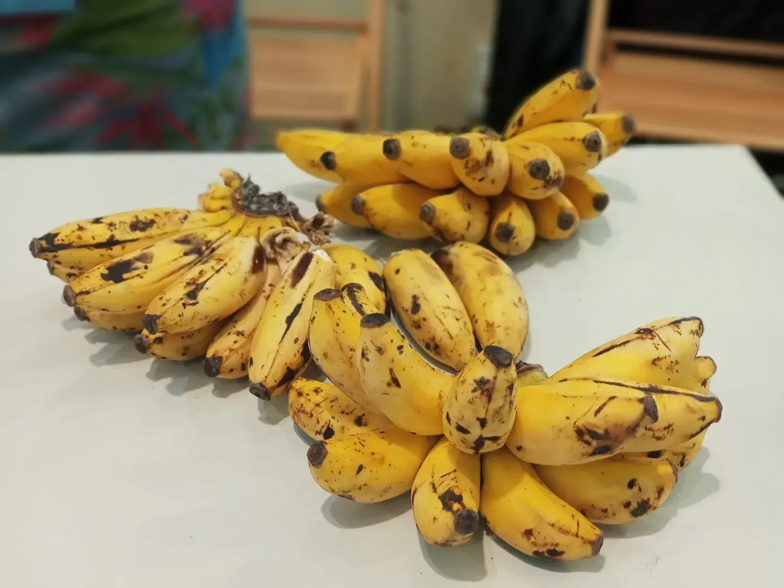 Des régimes de petites bananes posés sur une table.