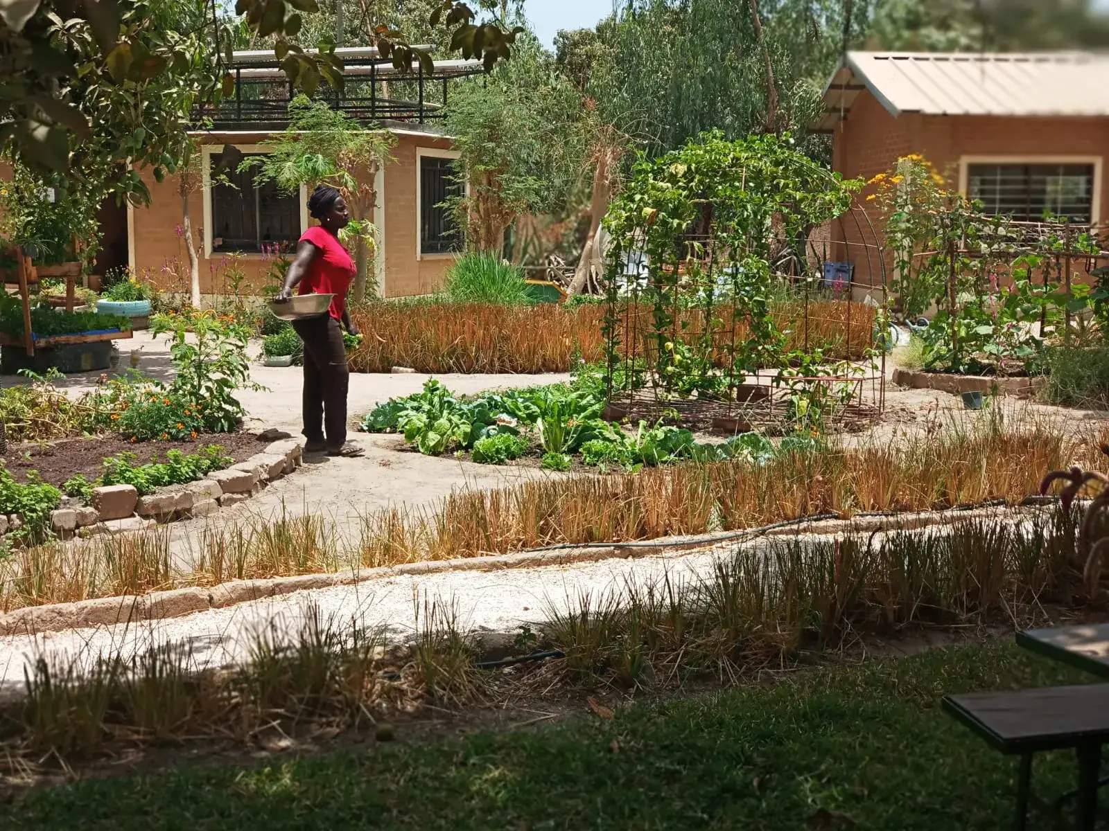 Une femme traverse un jardin potager aménagé, entre planches de cultures et bâtiments