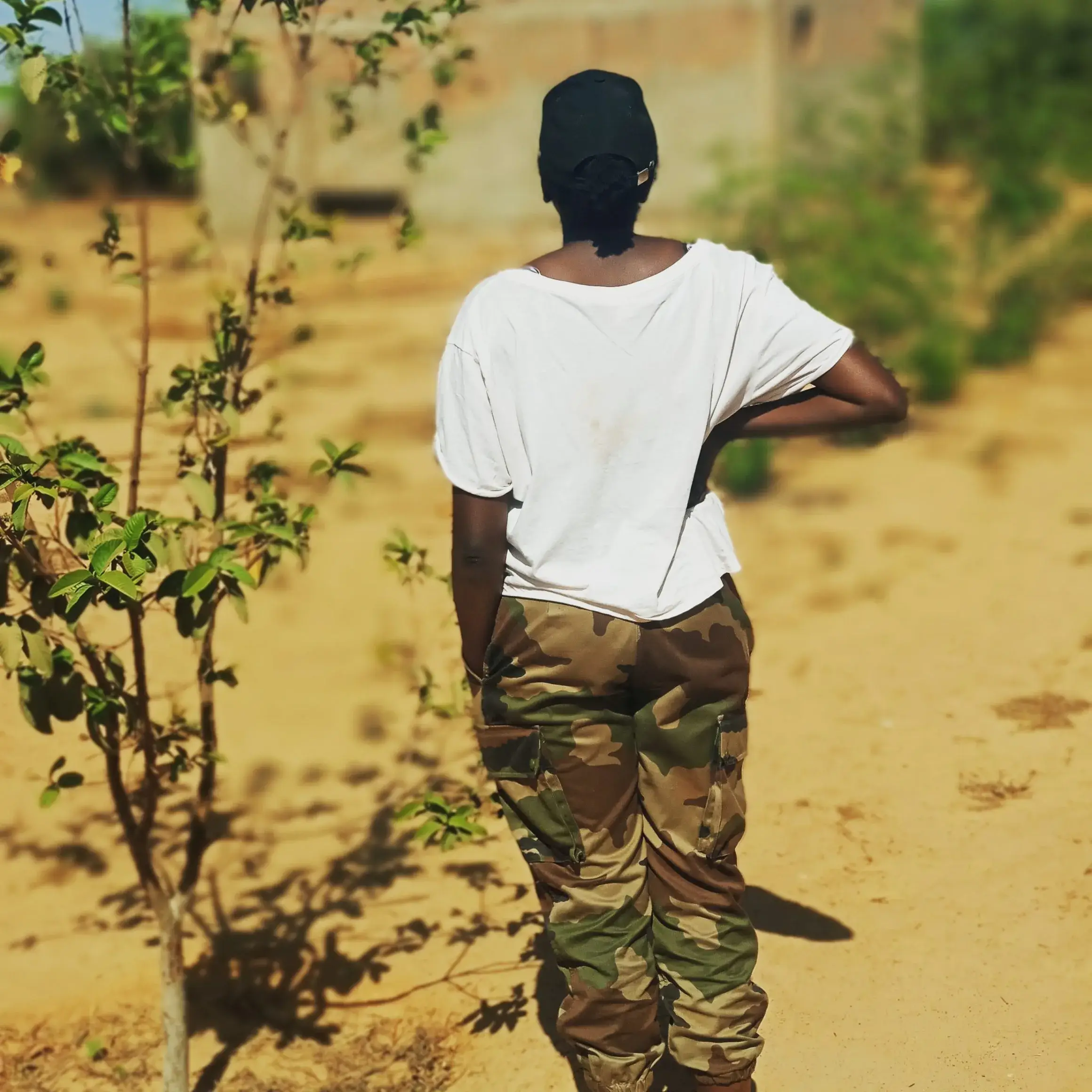 Une personne marche sur un chemin de sable bordé d’arbres.