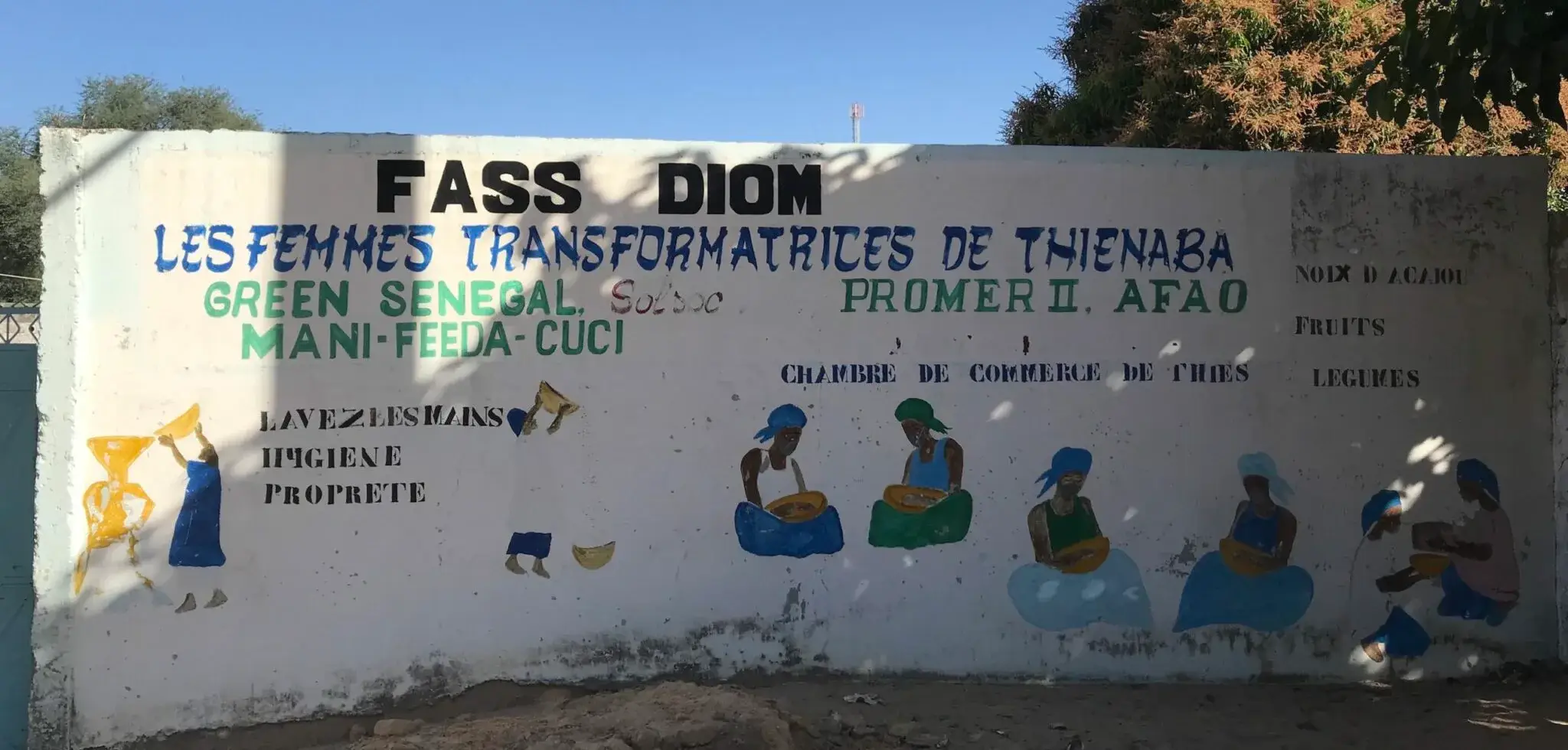 Mur peint du GIE Fass Diom à Tienaba illustrant les femmes transformatrices et leurs productions