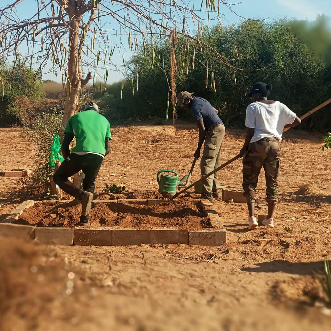 IMG_20190308_115155_440