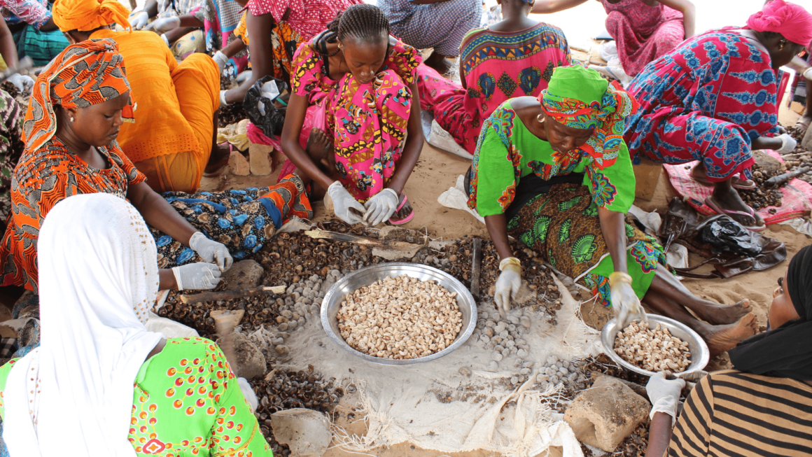 Bonjour tout le monde !