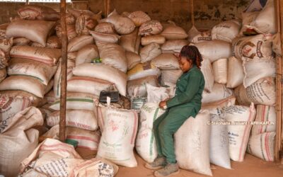 Du déchet à la ressource : quand l’entrepreneuriat social transforme les territoires