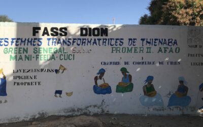 Quand des femmes s’unissent, un territoire se transforme : Fass Diom à Tienaba